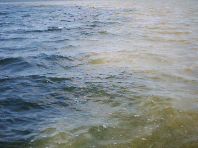 Bild 26.jpg